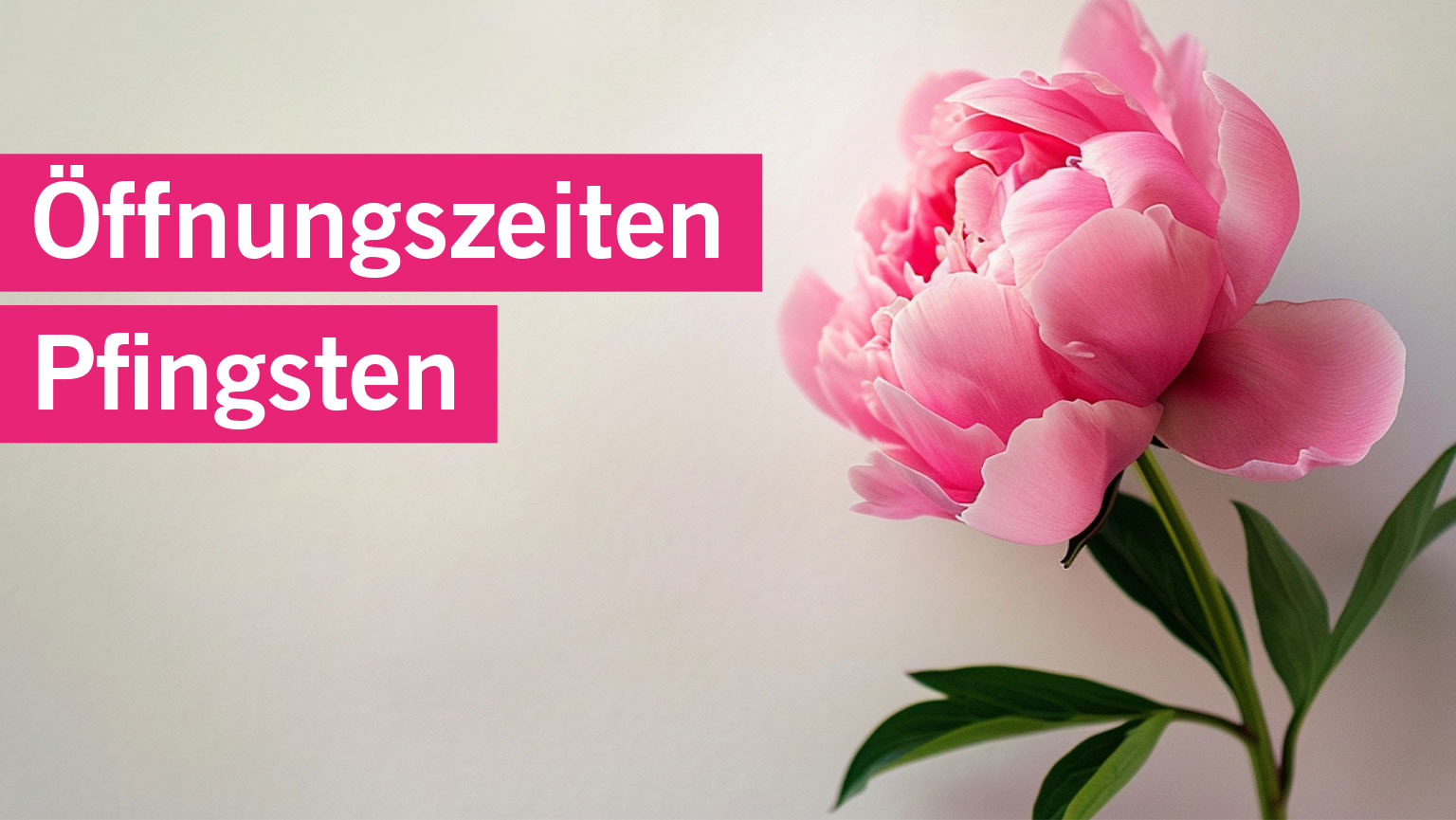 25.05.2026: Pfingstmontag- Seedamm-Center geschlossen - Seedamm-Center