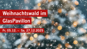 Weihnachten erleben im Seedamm-Center - Seedamm-Center 3