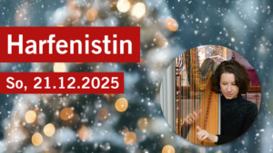 Weihnachten erleben im Seedamm-Center - Seedamm-Center 6