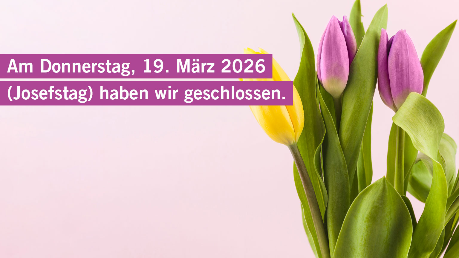 Josefstag - Das Seedamm-Center hat geschlossen - Seedamm-Center